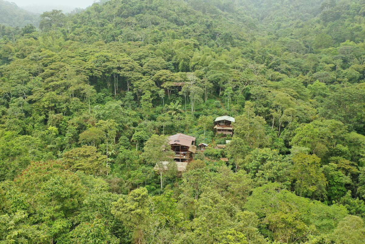 Bosques secos